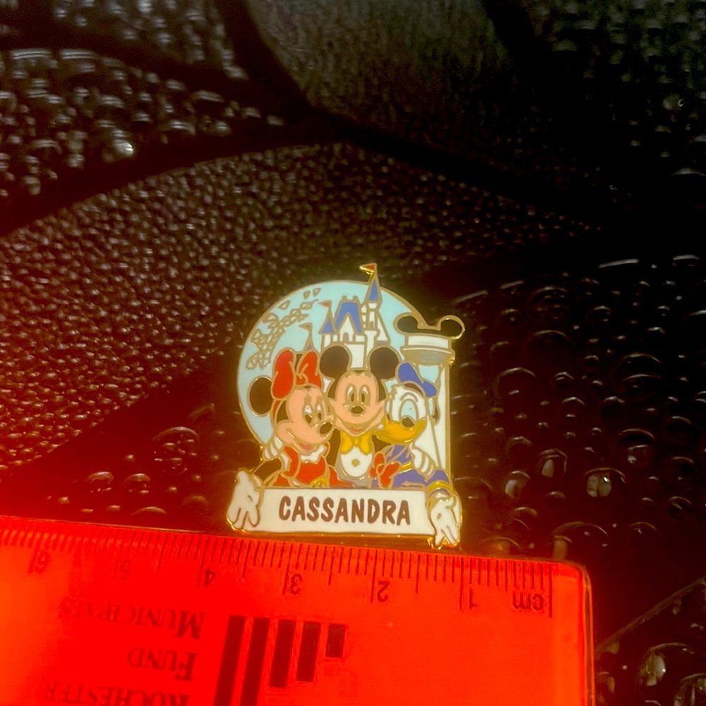 VINTAGE DISNEY post pin. Perfect for any Disney loving Cassandra in your life.
